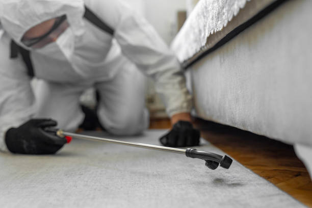 Professional Termite Control technician working in Broadway, NC
