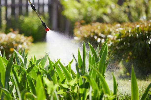 24/7 Emergency Termite Control experts in Broadway, NC